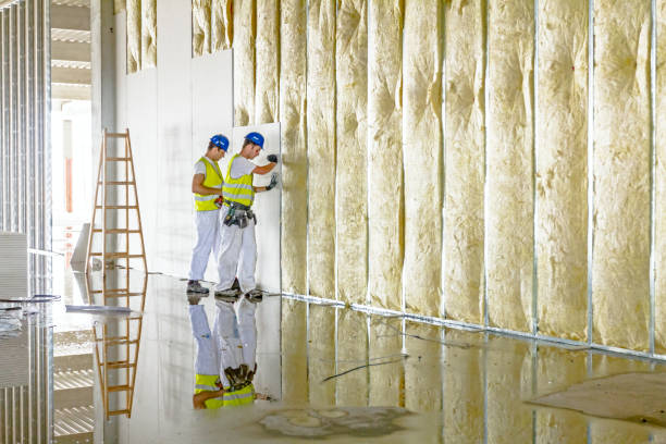 Best Cellulose Insulation in Laconia, NH